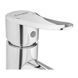 Champion SAP-001-A Chrome washbasin mixer made of stainless steel (CH6458)